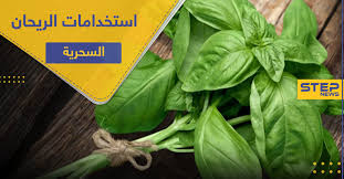 5 استخدامات سحرية لـ الريحان لتحافظ على صحتك وكالة ستيب الإخبارية