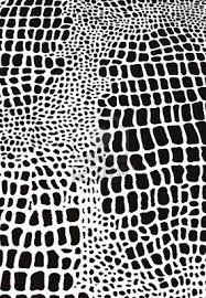 Black And White Diamond Pattern Snake Snake Animal Skin Pattern Animal Prints Pattern Animal Skin Animal Print Wallpaper