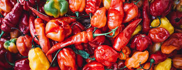Ajvar Paprika Dip