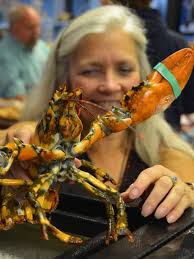 2022 Summer Reading Program: Upcoming events at Lane Memorial Library