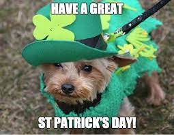 Today, it's celebrated all over the world — damn, they even turn chicago river, budapest bridge and cibeles fountain in madrid emerald green for st. St Patrick Day Memes Skip The Bar And Laugh At These Instead