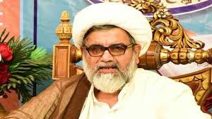 MWM to accept PTI founder's decision: Allama Nasir Abbas