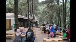 Hasil gambar untuk kopi daong