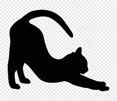 They usually have a round head with a lot of distance between the two large ears. American Shorthair British Shorthair Black Cat Sticker Decal Cat Noir Mammal Cat Like Mammal Carnivoran Png Pngwing