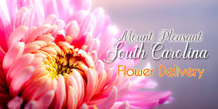 Maybe you would like to learn more about one of these? 8 Best Flower Delivery In Mount Pleasant Sc Flower Delivery Reviews