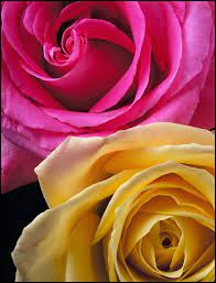 Eye For Design: Decorating With The Pink/Yellow Color Combination
