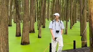 Leo Singto | Ngoài Tây Hồ thì Hàng Châu còn rất là nhiều những khu vực hồ nổi tiếng khác. Trong số đó có Hồ Thanh Sơn hay còn được biết đến