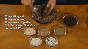 Have you ever wanted to make you own mix? Meet Judy From Botanical Interests Succulent Potting Soil Central Texas Gardener