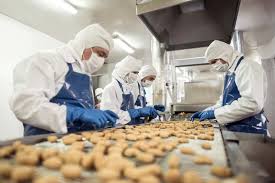 MES system for industry 4.0 food and beverage | Doeet