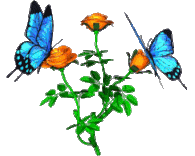 It has moving red, white, yellow and purple flowers. Flowers Gifs Tenor