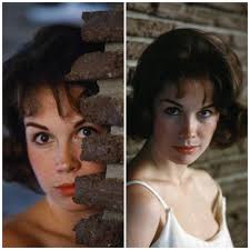 Mary Tyler Moore 1960s