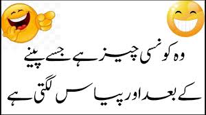 Urdu Paheliyan Hindi Riddles Paheliyan In Urdu Hindi In 2020 Brain Teasers With Answers Common Sense Questions Urdu