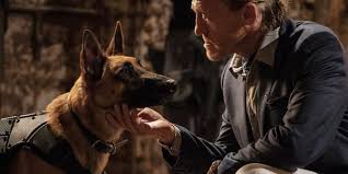 Guys The John Wick 3 Dog Action Scenes Are Much Harder To Film Than You Realize Cinemablend War dogs (2016) купить или взять напрокат.