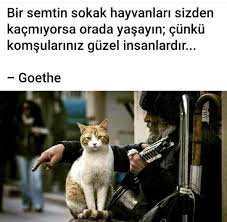 Bir Semtin Sokak Hayvanlari Sizden Kacmiyorsa Orada Yasayin Cunku Komsulariniz Guzel Insanlardir 2020 Ilham Verici Sozler Kitap Alintilari Guzel Soz