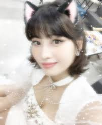 Pin By S On Twice Cat Girl Cat Icon Girl Icons