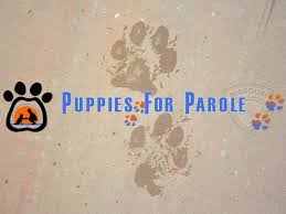 We did not find results for: Pups For Parole Friends Of The Animal Shelter Of St Joseph Inc