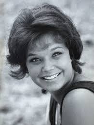 Virginia Darling's Instagram, Twitter & Facebook