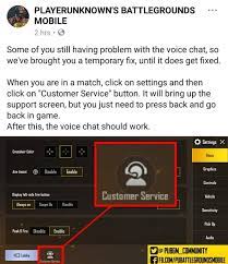 Pubg Mobile Voice Chat Not Working 2020