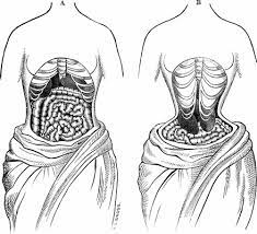 Here S How Corsets Deformed The Skeletons Of Victorian Women