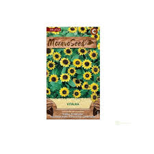 Image result for foto Vitálka