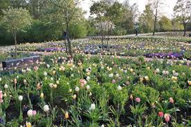 Norderstedt Schleswig Holstein In 2020 With Images Landscape Dolores Park Lovely