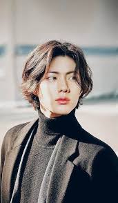 Jin Kim Seok Jin Long Hair Styles Bo Gum Mens Hairstyles