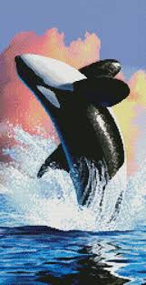 Check spelling or type a new query. Orca 1 Cross Stitch Pattern By Tereena Clarke Crosstitch Com