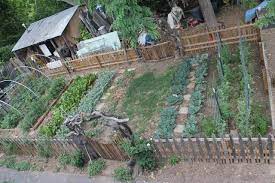 There are several factors that result in failure of tomato plants to form fruit. Soulemama Permacultural Paradise A Garden Tour With Erin O Neill