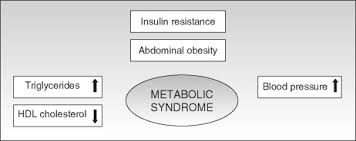 Metabolic Syndrome X An Overview Sciencedirect Topics