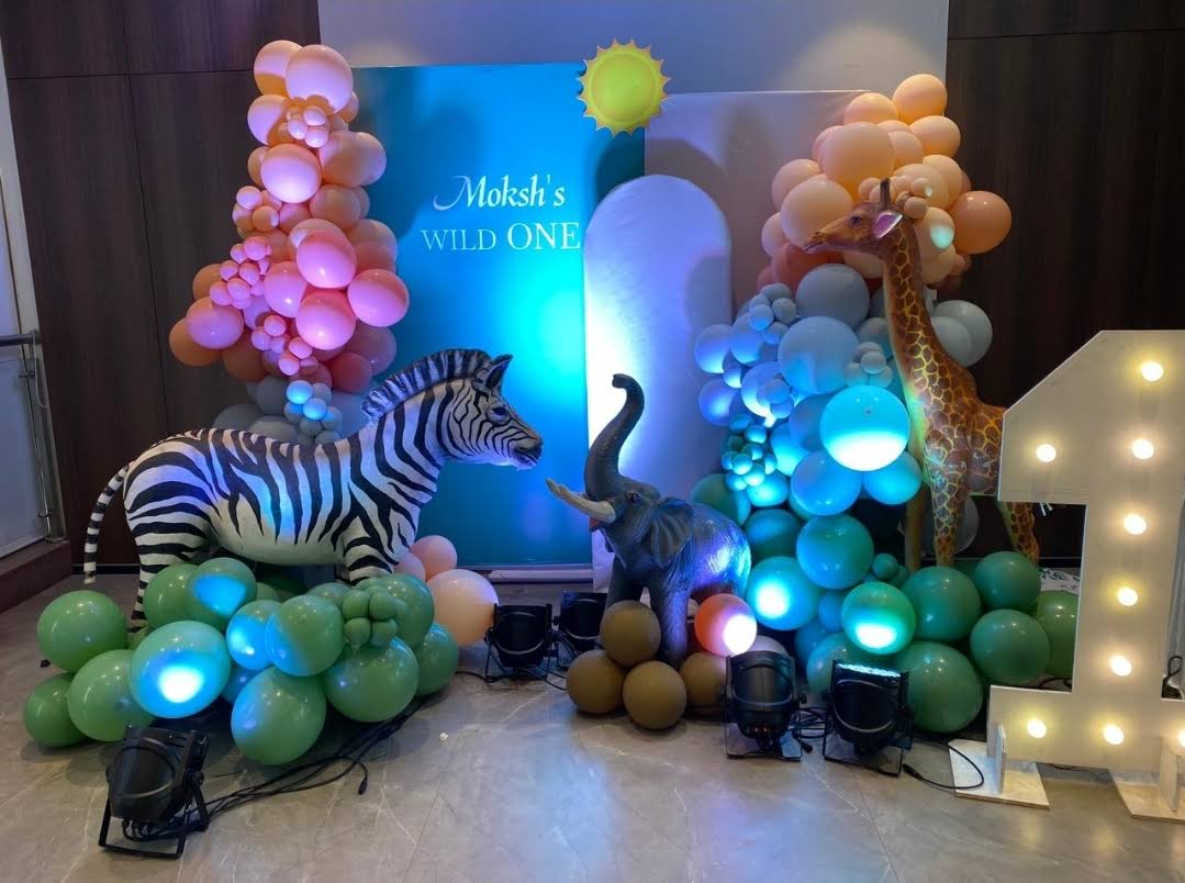 Birthday Decoration Setup product image