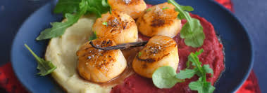 Originales, classiques ou arrangeantes, elles ont toutes le mérite de nous faire réveillonner avec strass et sans stress. Les Recettes De Poissons Pour Noel Les Plus Originales Envie De Bien Manger
