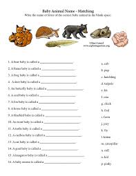 How many of these can you guess correctly? Pdf Telecharger 5 Year Old Animal Quiz Gratuit Pdf Pdfprof Com