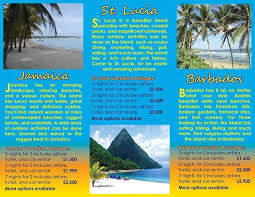Brochure Scanning An Esl Reading Activity Esl Activities Saving You Time Guaranteed Esl Reading Activities Esl Reading Reading Activities