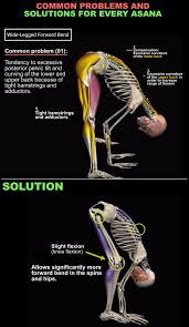 Yoga App Expand Your Knowledge Become A Better Yoga Teacher Yoga Anatomy Yoga Motivation Yoga Benefits