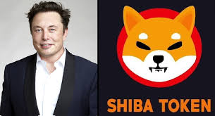 1 day ago · the shiba inu coin, a meme cryptocurrency which has the face of the japanese dog breed, has soared more than 100% in the last week. With Year To Date Gains Of Over 27 Million Percent Now Shiba Inu Shib Coin Just Became A Prolific Momentum Engine For Investors