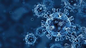 Garis pertahanan pertama sistem imunitas adalah kulit dan membran mukosa (lendir yang dikeluarkan tubuh). Pencegahan Dan Pengobatan Virus Biology Quizizz