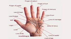 Jadi menurut islam 7 hari setelah kematian ruh tidak bisa kembali ke dunia untuk melihat keadaan keluarganya. Begini Bentuk Garis Tangan Orang Kaya Coba Lihat Telapak Tangan Anda Tribun Jogja