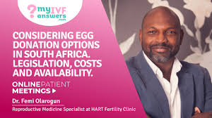 In exchange for your yearlong commitment to the intended parents, as well as the many physical and emotional demands of pregnancy, you will receive compensation that may be used to help you achieve future how much does a surrogate get paid to be a surrogate? Ivf With Donor Eggs In South Africa Law Donors And Cost