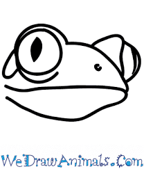 Draw lightly so the lines are easy to erase. How To Draw A Tree Frog Face