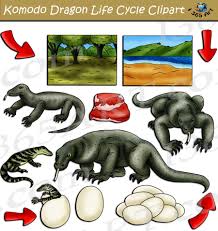 Komodo Dragon Life Cycle Clipart Set Download Clipart 4 School In 2020 Komodo Dragon Life Cycles Komodo
