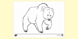 Select from 35870 printable crafts of cartoons, nature, animals, bible free printable coloring teddy bear picnic childrens activities bear theme coloring pages teddy bear theme five in a row preschool books. Free Bear Hunt Colouring Colouring Sheets