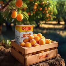 Ruby 2G Classics Ruby 2G Classics - officialrubydisposable.com