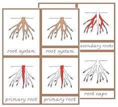 The Helpful Garden Free Downloads Montessori Elementary Activities Montessori Lessons Montessori Activities