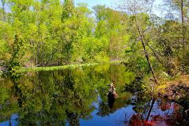 Hours may change under current circumstances Free Camping In Florida Tips For Saving Green In The Sunshine State