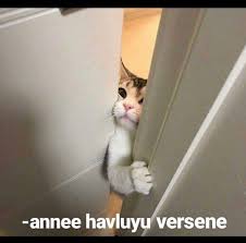 Rukiye Boz Balsu Adli Kullanicinin Mizah Karikatur Panosundaki Pin Mizah Espriler Hayvanlar