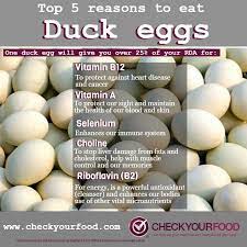 The Health Benefits Of Duck Eggs Check Your Food Duck Eggs Eggs Egg Nutrition Facts
