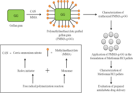 Newspaper delivery in setia alam. Design And Development Of Polymethylmethacrylate Grafted Gellan Gum Pmma G Gg Based Ph Sensitive Novel Drug Delivery System For Antidiabetic Therapy Springerlink