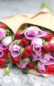 Pin By Patty Codrington On Colour Beautiful Blooms Flower Beauty Pretty Flowers