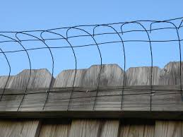 Safe Cheap Way To Keep Cat From Escaping My Back Yard He Can Jump My 6 Privacy Fence In A Second Took A While To Figure Cat Fence Dog Proof