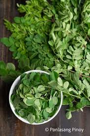 Milongas in europe > milongas in cyprus. Moringa Malunggay Panlasang Pinoy